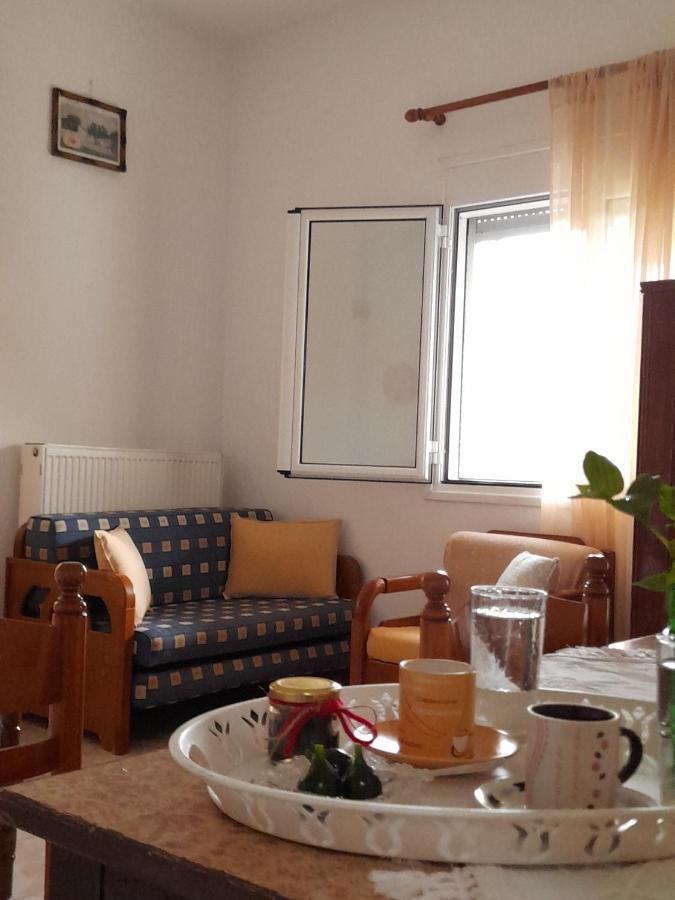 Το Σπίτι Της Ελένης Apartment Vlachia Екстериор снимка