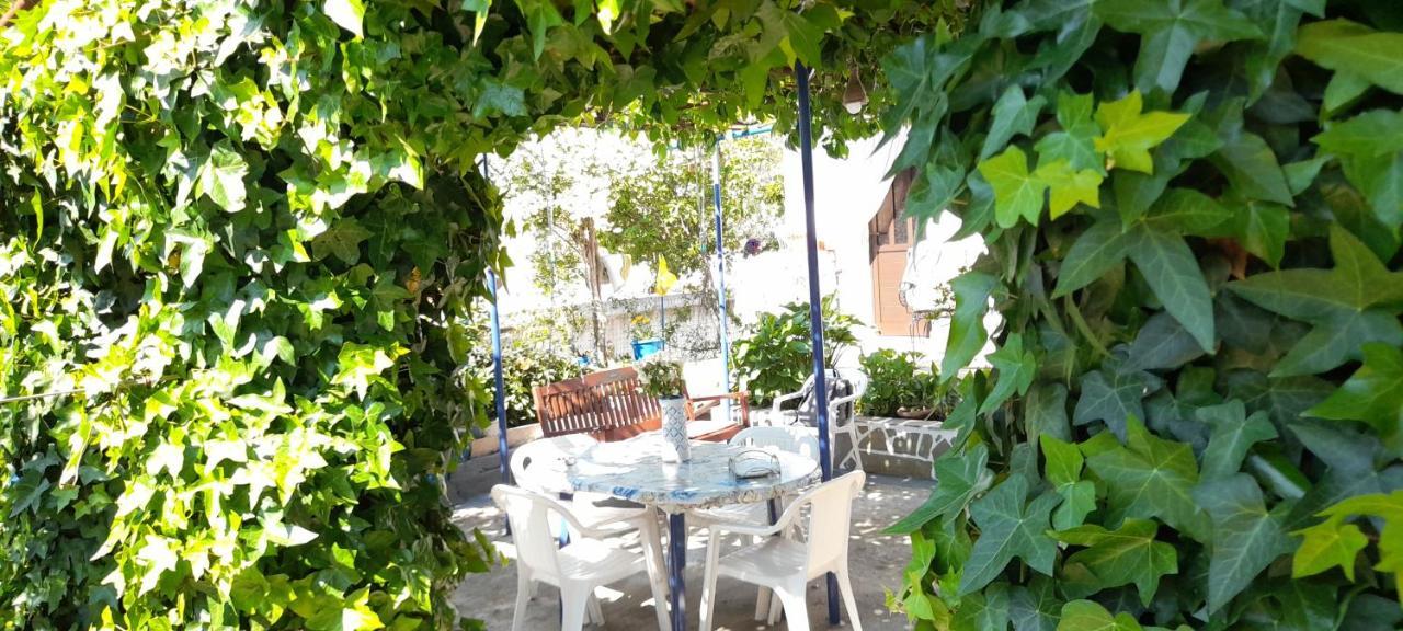 Το Σπίτι Της Ελένης Apartment Vlachia Екстериор снимка