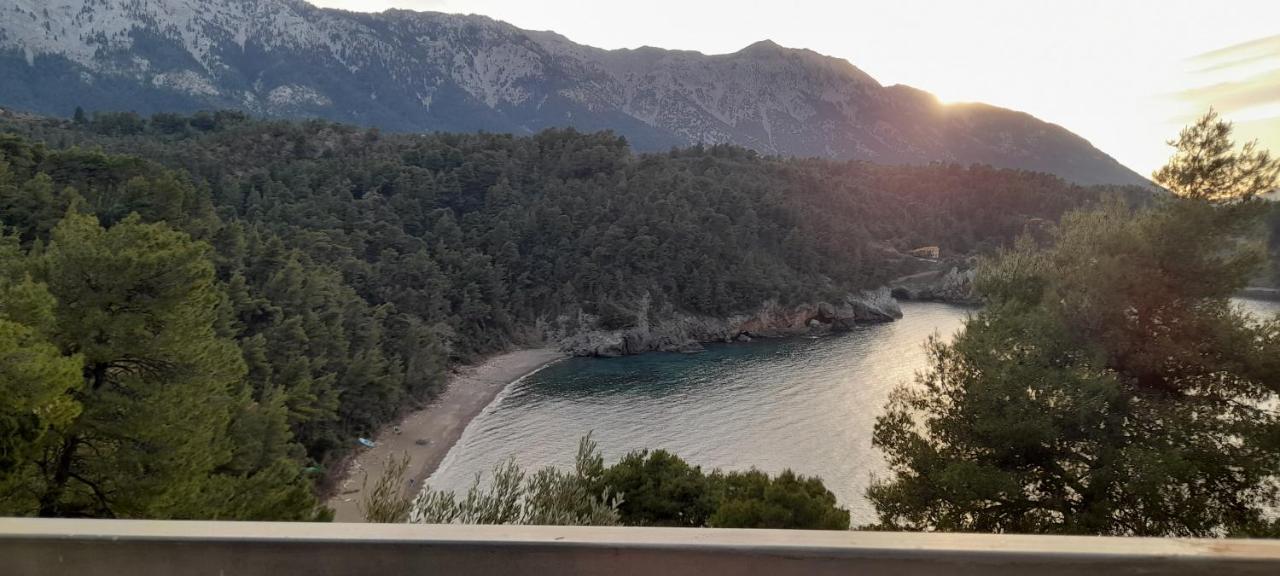 Το Σπίτι Της Ελένης Apartment Vlachia Екстериор снимка