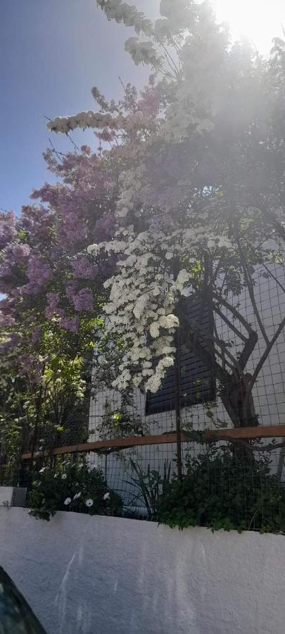 Το Σπίτι Της Ελένης Apartment Vlachia Екстериор снимка