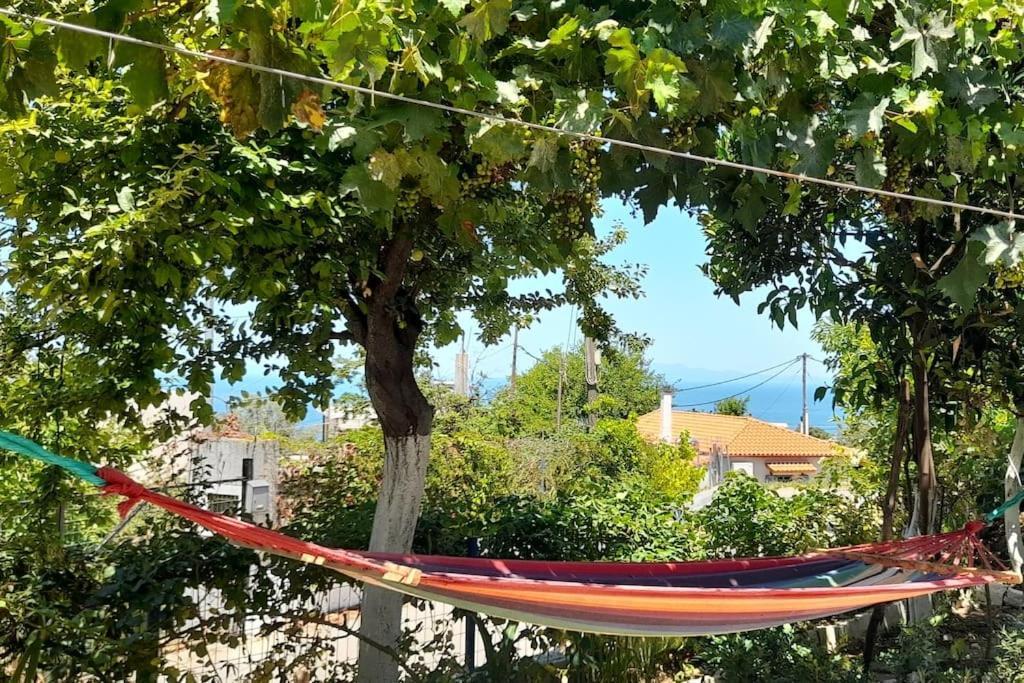 Το Σπίτι Της Ελένης Apartment Vlachia Екстериор снимка