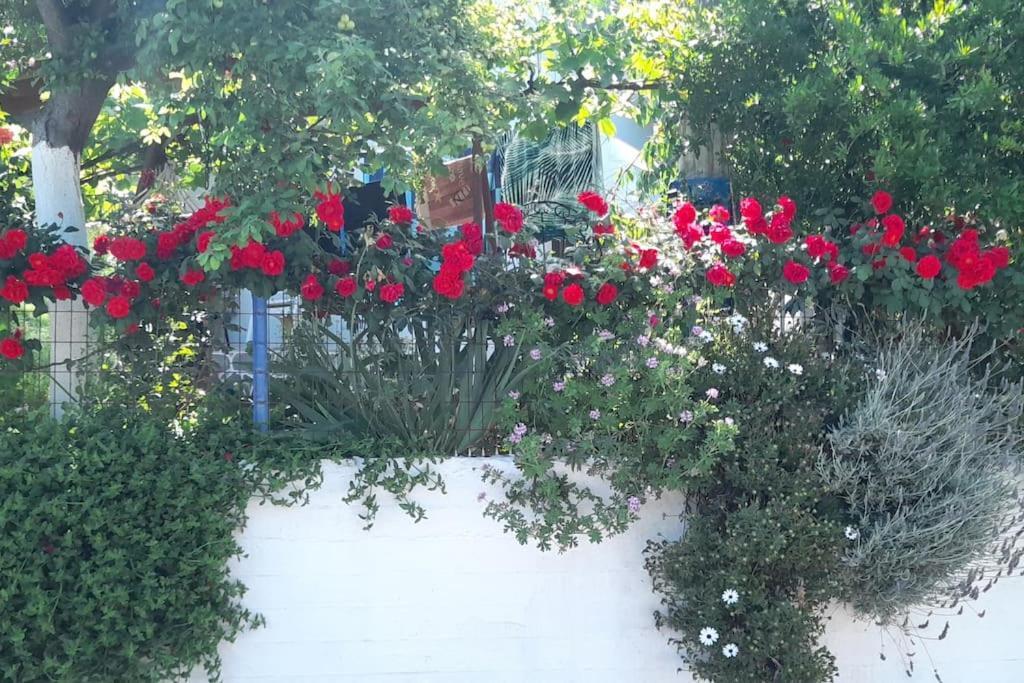 Το Σπίτι Της Ελένης Apartment Vlachia Екстериор снимка