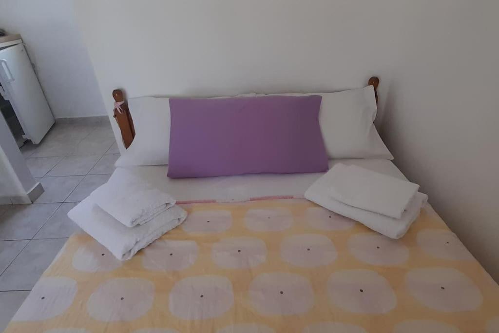 Το Σπίτι Της Ελένης Apartment Vlachia Екстериор снимка