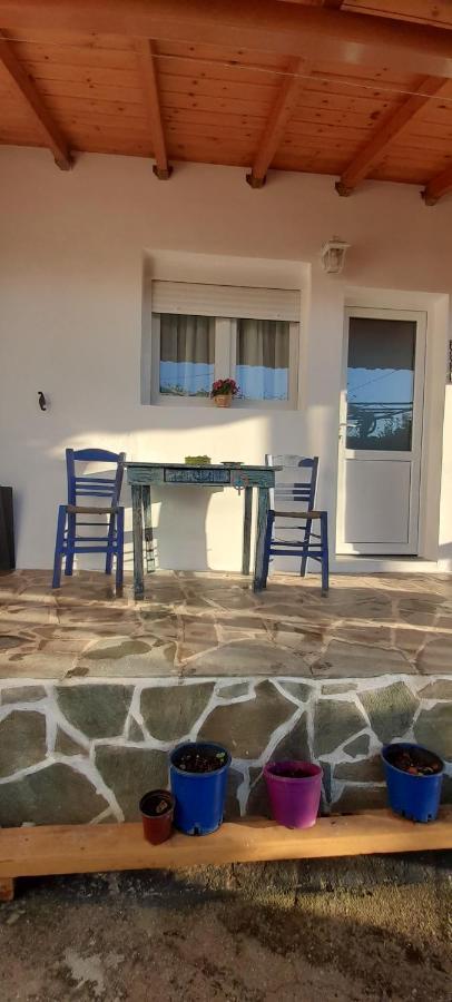 Το Σπίτι Της Ελένης Apartment Vlachia Екстериор снимка