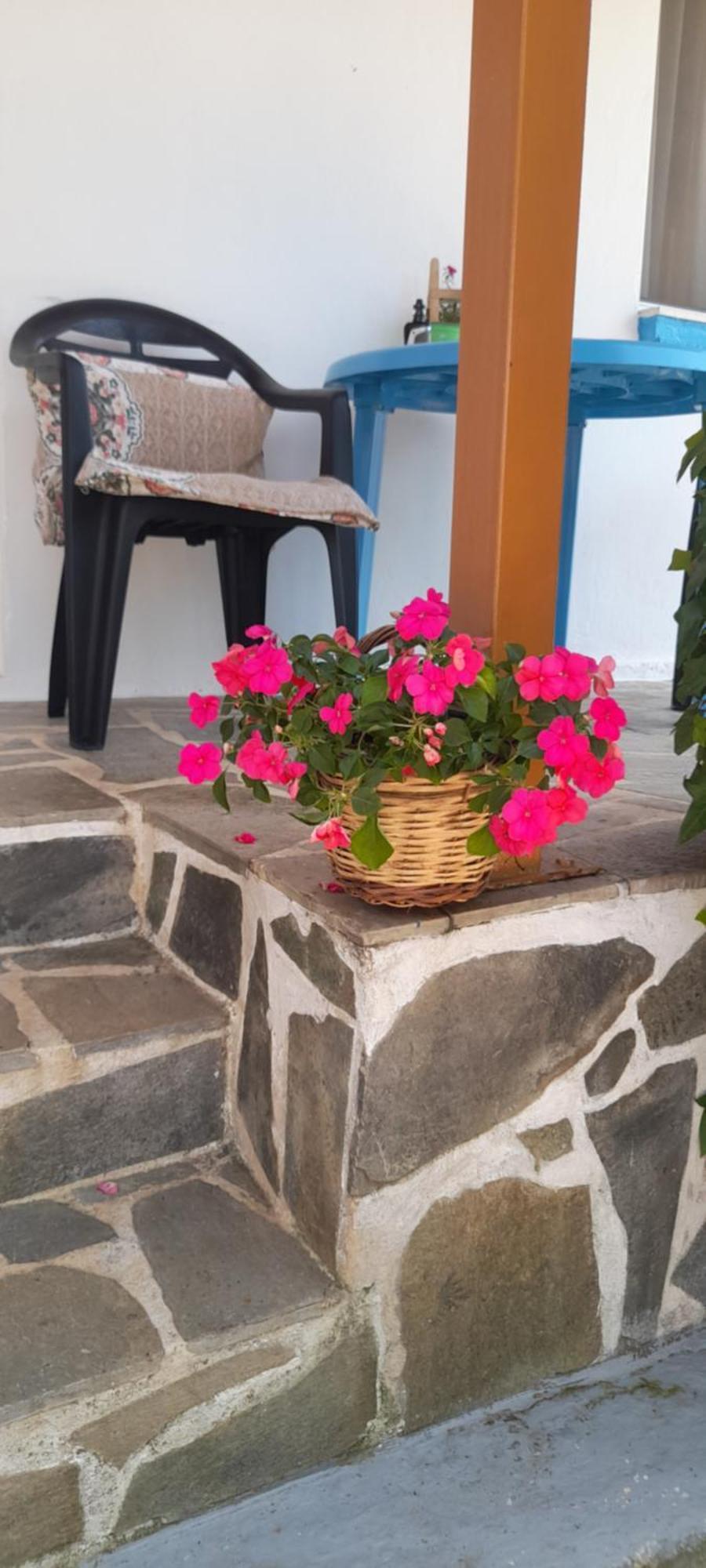 Το Σπίτι Της Ελένης Apartment Vlachia Екстериор снимка