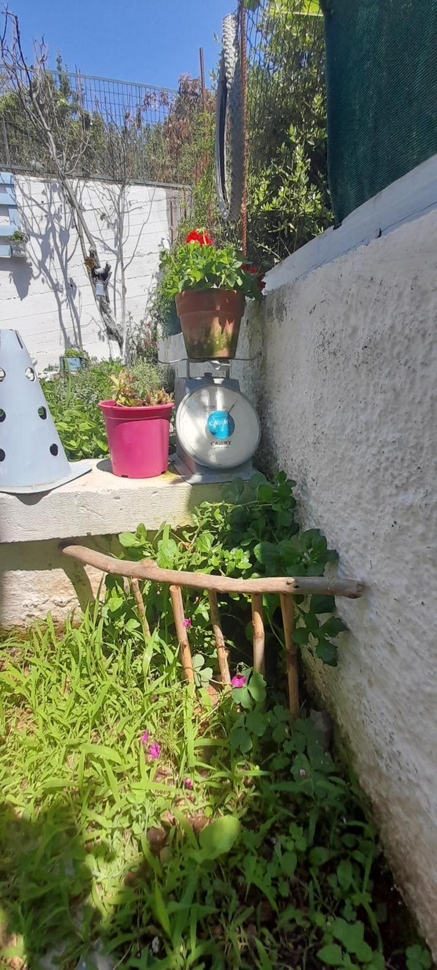 Το Σπίτι Της Ελένης Apartment Vlachia Екстериор снимка
