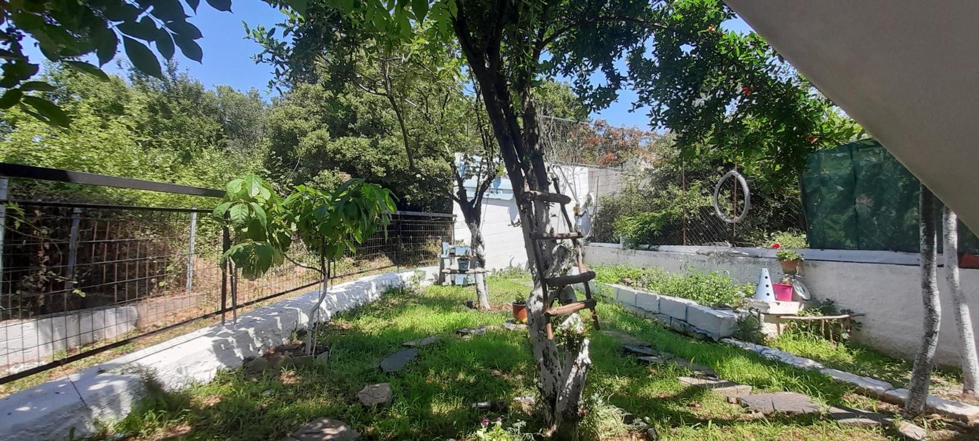 Το Σπίτι Της Ελένης Apartment Vlachia Екстериор снимка
