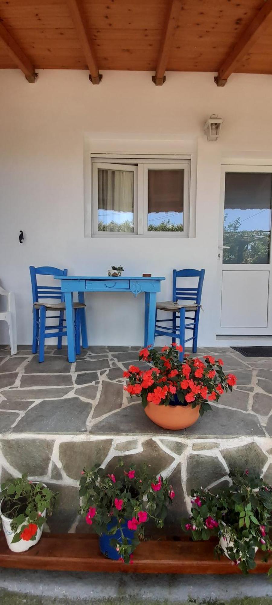 Το Σπίτι Της Ελένης Apartment Vlachia Екстериор снимка